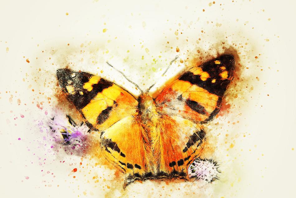 Colorful and beautiful painting of butterfly with flowers, with paint splatter, clipart