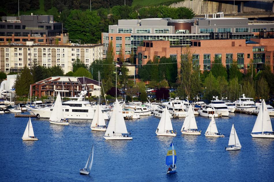 Sailing Boats in Lake
