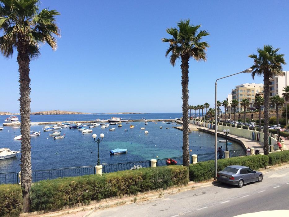Sea Yacht Malta Palm