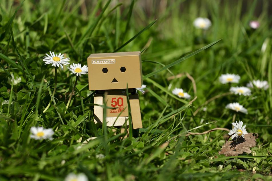 wooden man in the grass