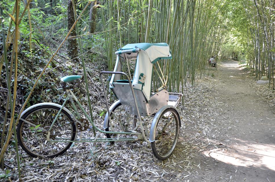 Chinese Pushes Transport