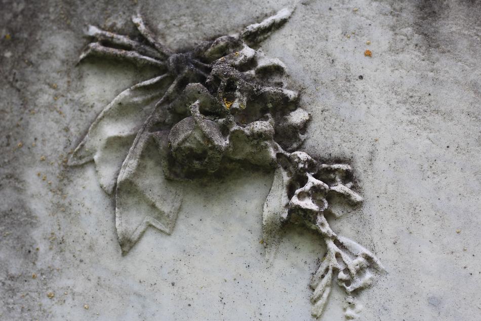 iron flowers on the fence