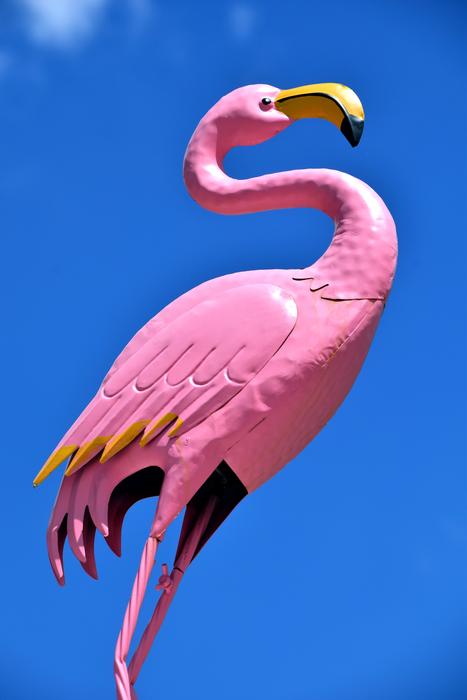 Flamingo Figure Art