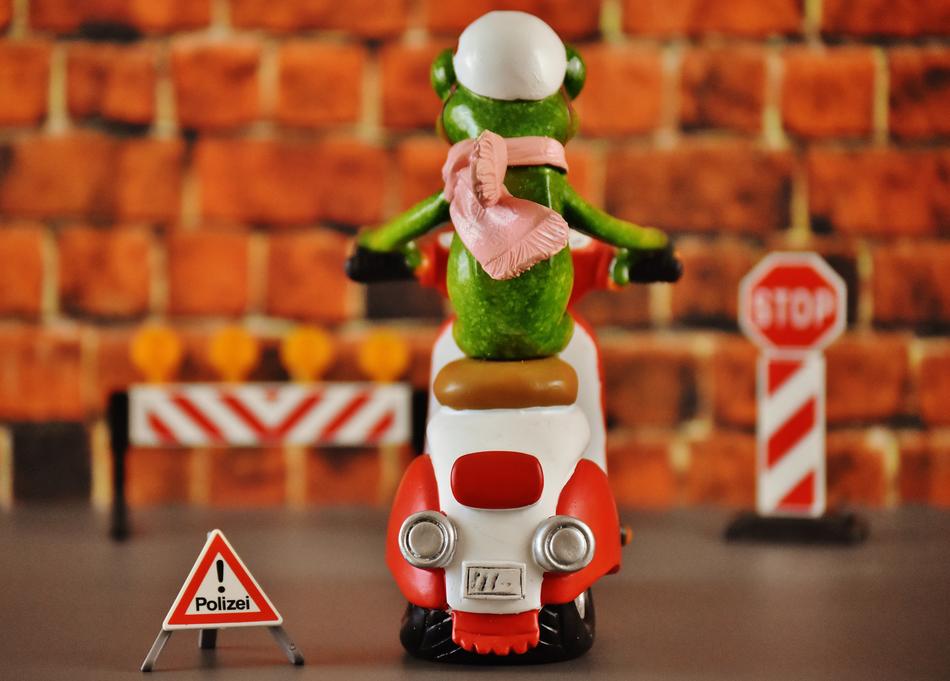 funny frog on a motorcycle
