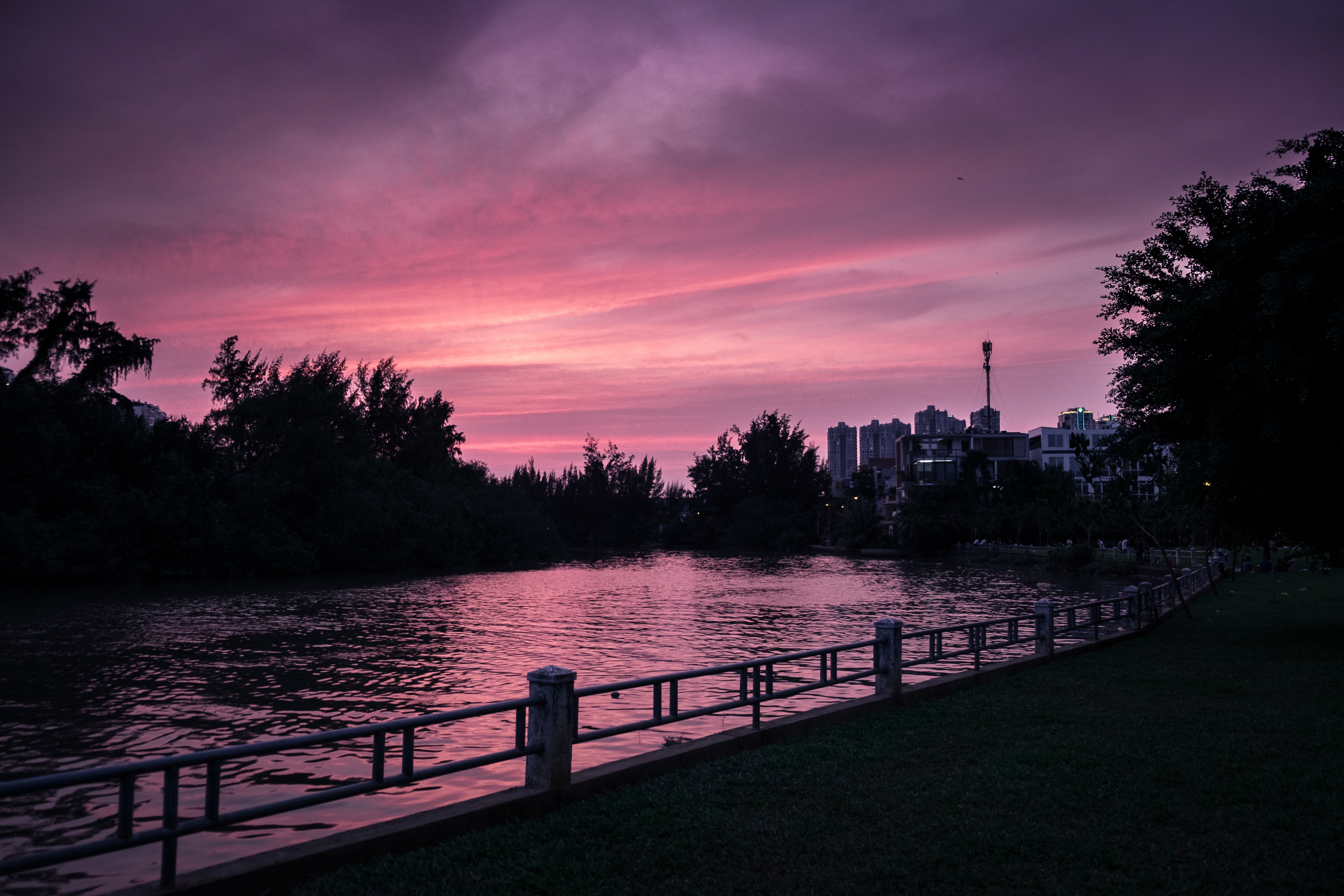 Фиолетовый закат в парке обои