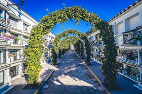 deciduous arch with stone road