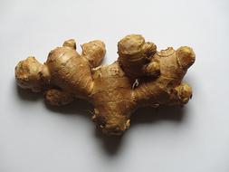 hard ginger root