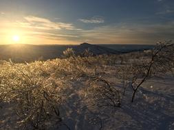 winter in the sun