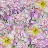 Floral Background Pink yellow