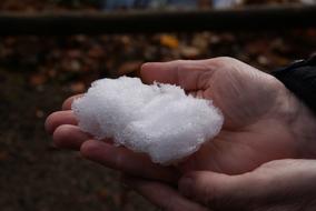 snow in the hands of a man