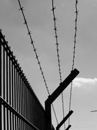 a barbed-wire fence against a gray sky.