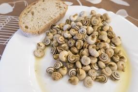 snails in sauce