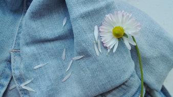 The flower petals on the jeans are beautiful.