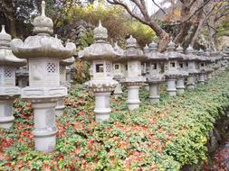 Lantern Temple Landscape