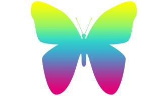 Colorful, gradient butterfly, at white background, clipart