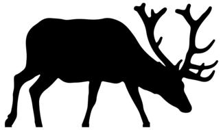 Beautiful, black silhouette of the deer, at white background, clipart