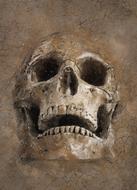 background scrapbooking paper skull