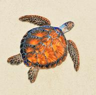 art of Turtle Reptile Background