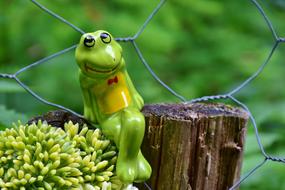 Frog Pose Heart