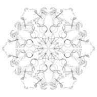 a beautiful mandala pattern on a white background