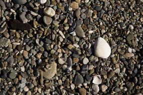 Gravel Beach Stones