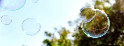 bubbles in the air by the tree