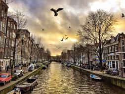 perfect Amsterdam City Tour