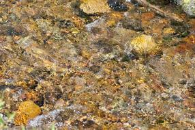 Water Creek Rocks