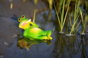 toad smokes water grass