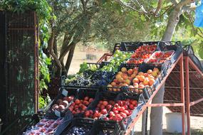 delicious fruit on display