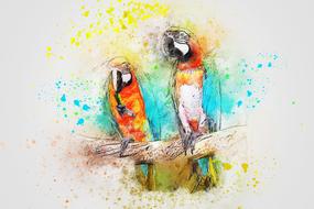 art abstract of bird parrot feathers