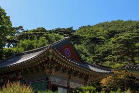 Korean Traditional Castle in forest