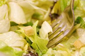 cabbage salad