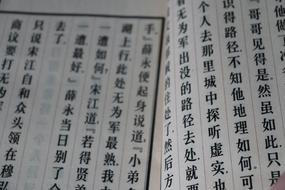 Chinese characters in the book