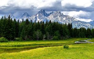 Trees and mountains as background