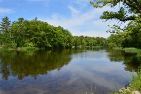 water,trees,green,clouds,leaves,view