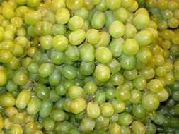 green grapes are juicy and delicious