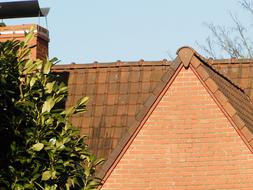 trees near the roofs of the house
