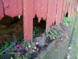 paranapiacaba s%C3%A3o paulo brasil