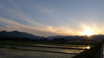 Countryside Yamada'S Rice