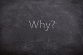 Why Questions Text doard