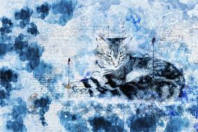 cat as a abstract