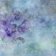 purple blue flower texture