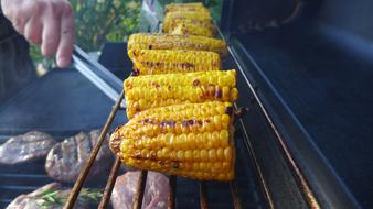 roasted corn is delicious