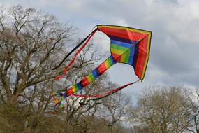 kite colored trees