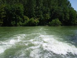 wide river in the forest on a sunny day