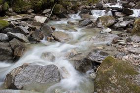 rocks water water forest moss