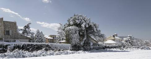 snow house trees are beautiful