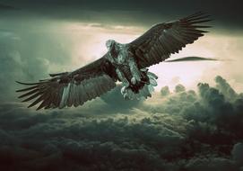 Flying eagle in the dark sky with clouds, in sunlight, clipart