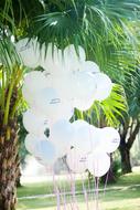 balloons white green tropical